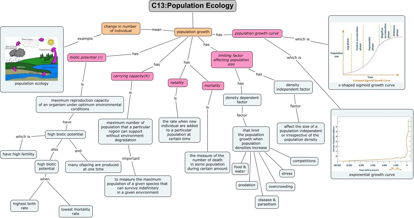 c13-population-ecology-syuhada